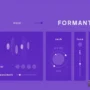 Formantic KONTAKT-MaGeSY