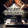 12 Bit Battle Breaks WAV-FANTASTiC-MaGeSY