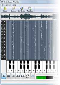 TwelveKeys Music Transcription Software v1.60 WiN-LAXiTY