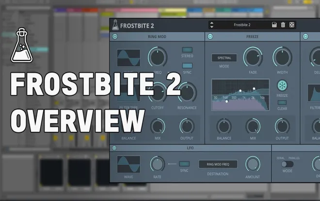 Video preview