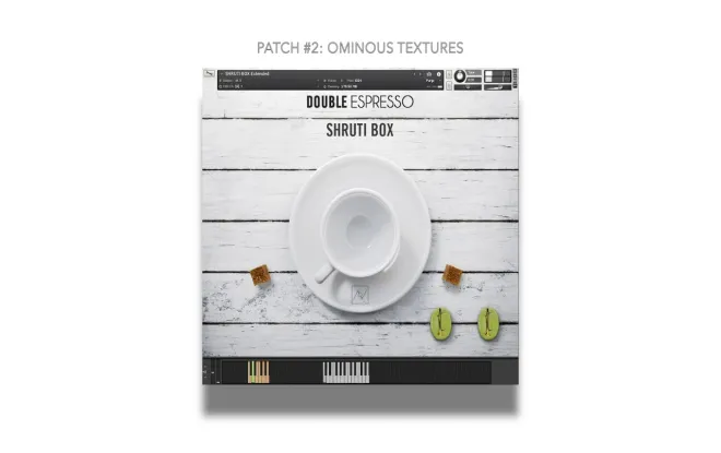 Free Download Shruti Box Bundle KONTAKT