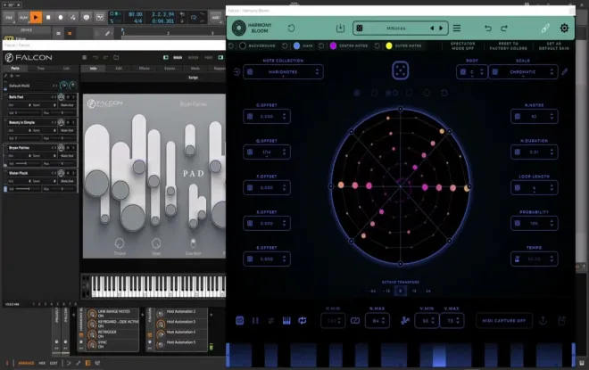 Video preview