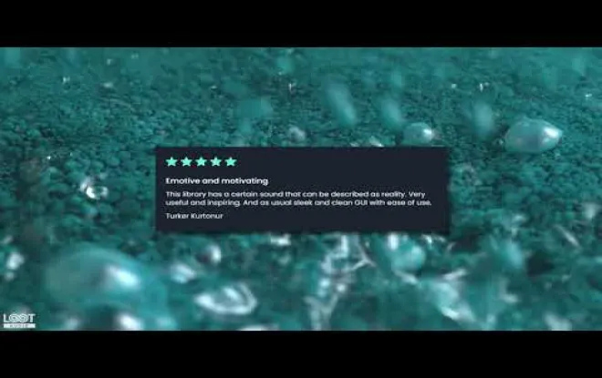 Video preview