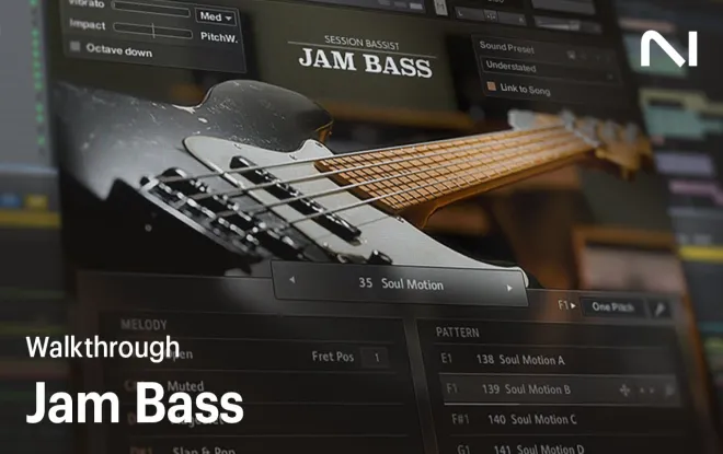Free Download Session Bassist